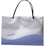 BIOTHERM bag